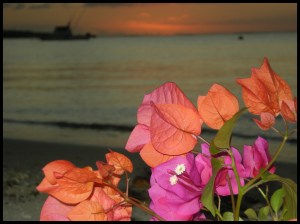 Tramonto a Mauritius
