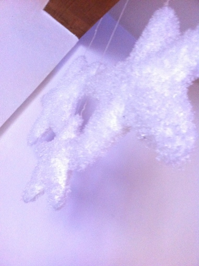 Decorazioni di Natale