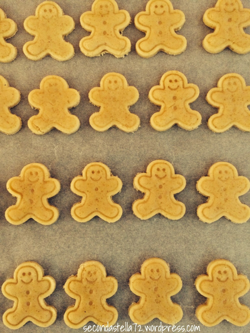 Biscottini allo zenzero