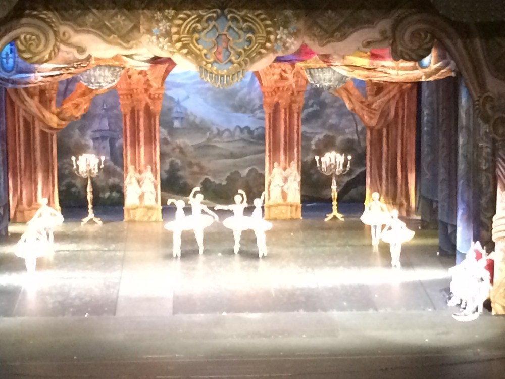 La bella addormentata