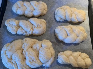 treccine soffici di soli albumi